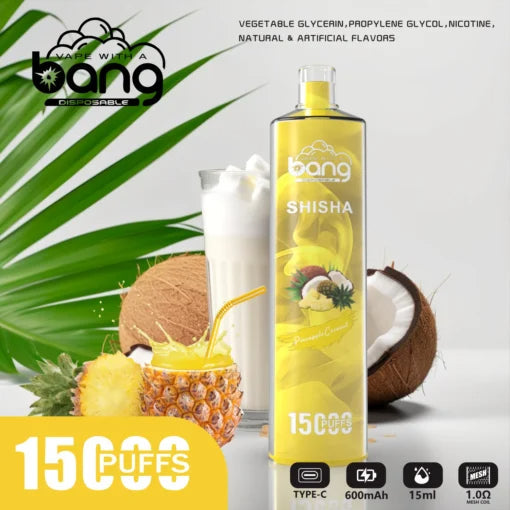 Bang 15000 Puffs Vape 15K Disposable Vape Pen E Cigarette Prefilled 25ml 600mAh Disposable Vape 12 Flavors