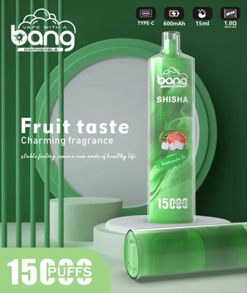 Bang 15000 Puffs Vape 15K Disposable Vape Pen E Cigarette Prefilled 25ml 600mAh Disposable Vape 12 Flavors