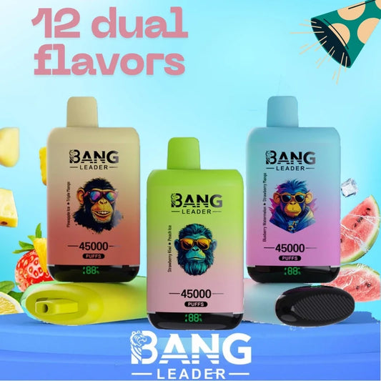 Bang Leader 45000 Puffs Dual Flavors Factory Direct Supply Bulk Price-650mAh Battery.  Multiple Nicotine 12 Flavors
