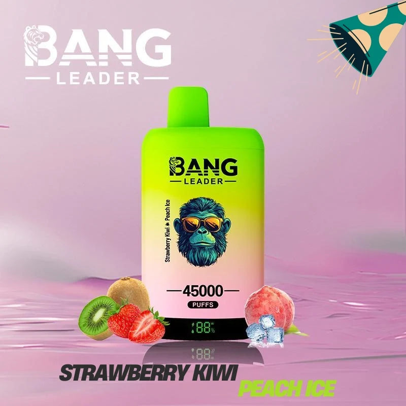 Bang Leader 45000 Puffs Dual Flavors Factory Direct Supply Bulk Price-650mAh Battery.  Multiple Nicotine 12 Flavors