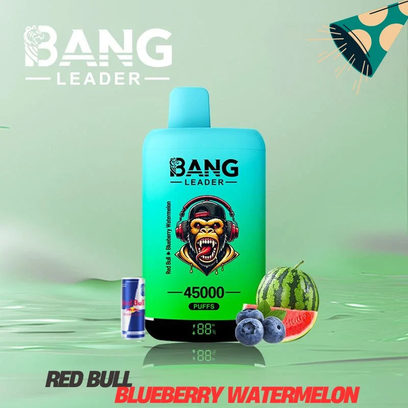 Bang Leader 45000 Puffs Dual Flavors Factory Direct Supply Bulk Price-650mAh Battery.  Multiple Nicotine 12 Flavors