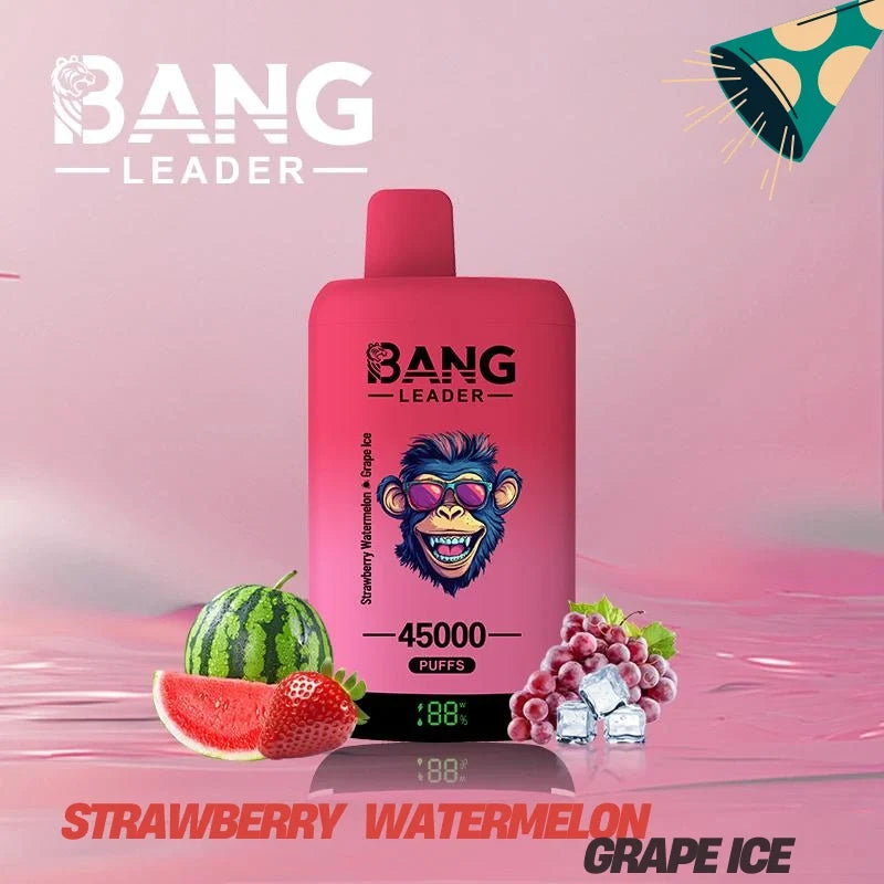 Bang Leader 45000 Puffs Dual Flavors Factory Direct Supply Bulk Price-650mAh Battery.  Multiple Nicotine 12 Flavors