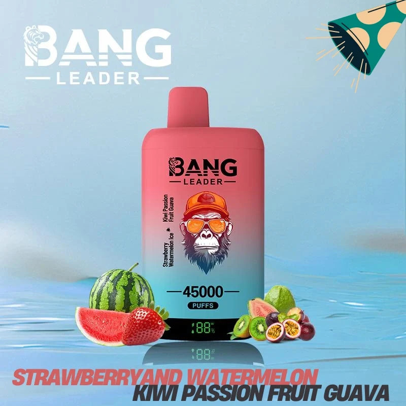 Bang Leader 45000 Puffs Dual Flavors Factory Direct Supply Bulk Price-650mAh Battery.  Multiple Nicotine 12 Flavors