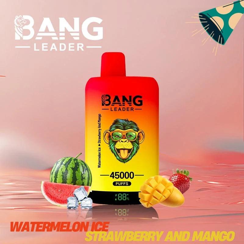Bang Leader 45000 Puffs Dual Flavors Factory Direct Supply Bulk Price-650mAh Battery.  Multiple Nicotine 12 Flavors