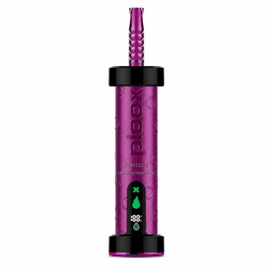 Blackberry Dragon Fruit - Ploox Molasses 75k Disposable E-Hookah