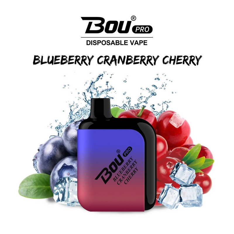 Bou Pro 7000 Kit Wiederaufladbar