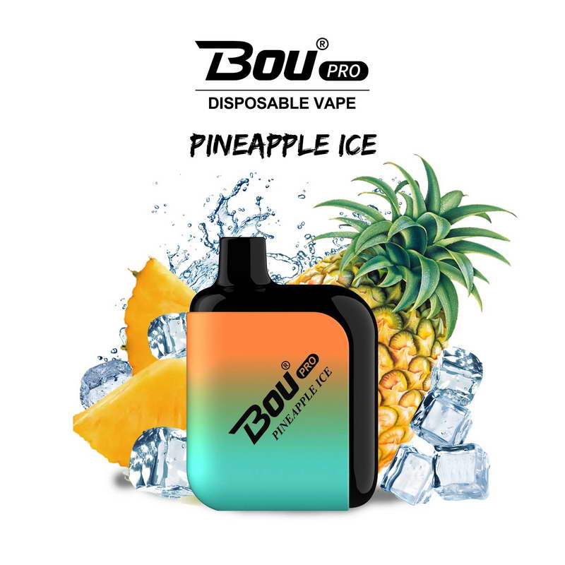 Bou Pro 7000 Kit Rechargeable
