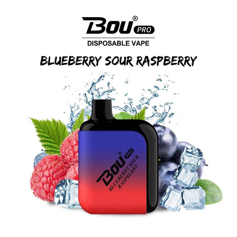 Bou Pro 7000 Kit Wiederaufladbar