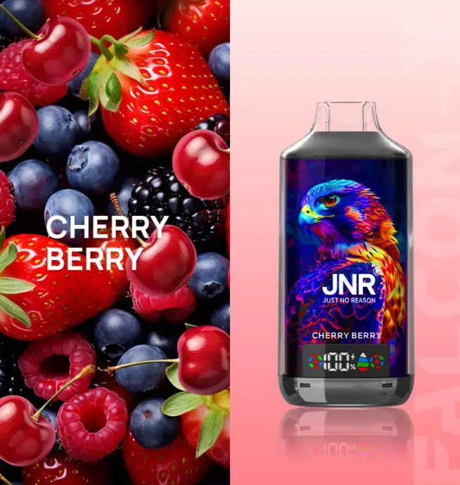 JNR 18000 Puffs Vape 18K Disposable Vape Pen E Cigarette  24ml 950mAh  11 Flavors