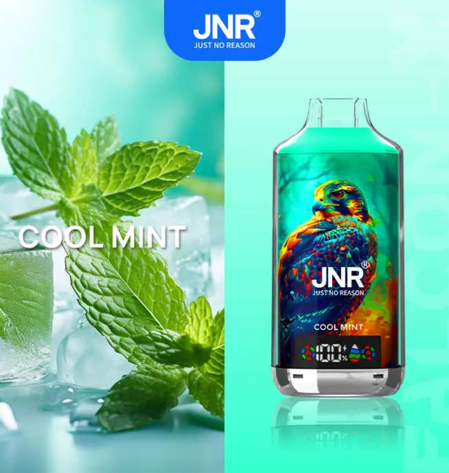 JNR 18000 Puffs Vape 18K Disposable Vape Pen E Cigarette  24ml 950mAh  11 Flavors