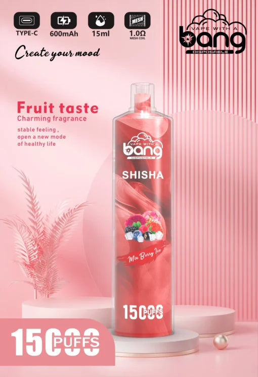 Bang 15000 Puffs Vape 15K Disposable Vape Pen E Cigarette Prefilled 25ml 600mAh Disposable Vape 12 Flavors