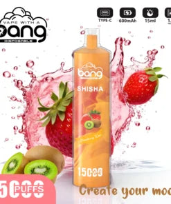 Bang 15000 Puffs Vape 15K Disposable Vape Pen E Cigarette Prefilled 25ml 600mAh Disposable Vape 12 Flavors