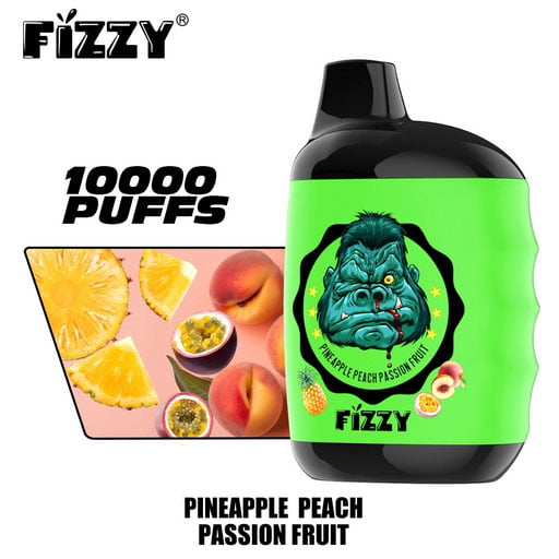 FIZZY Great 10000 Puffs 2% 5% Low Nicotine Bulk Buy Rechargeable Disposable Vapes Pen Wholesale