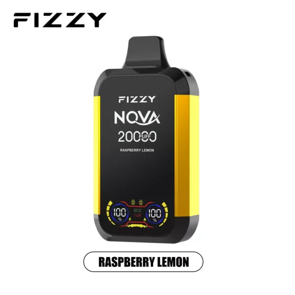 FIZZY Nova 20000 Puffs Dual Mesh Bulk Buy LCD Screen Rechargeable Disposable Vapes Wholesale
