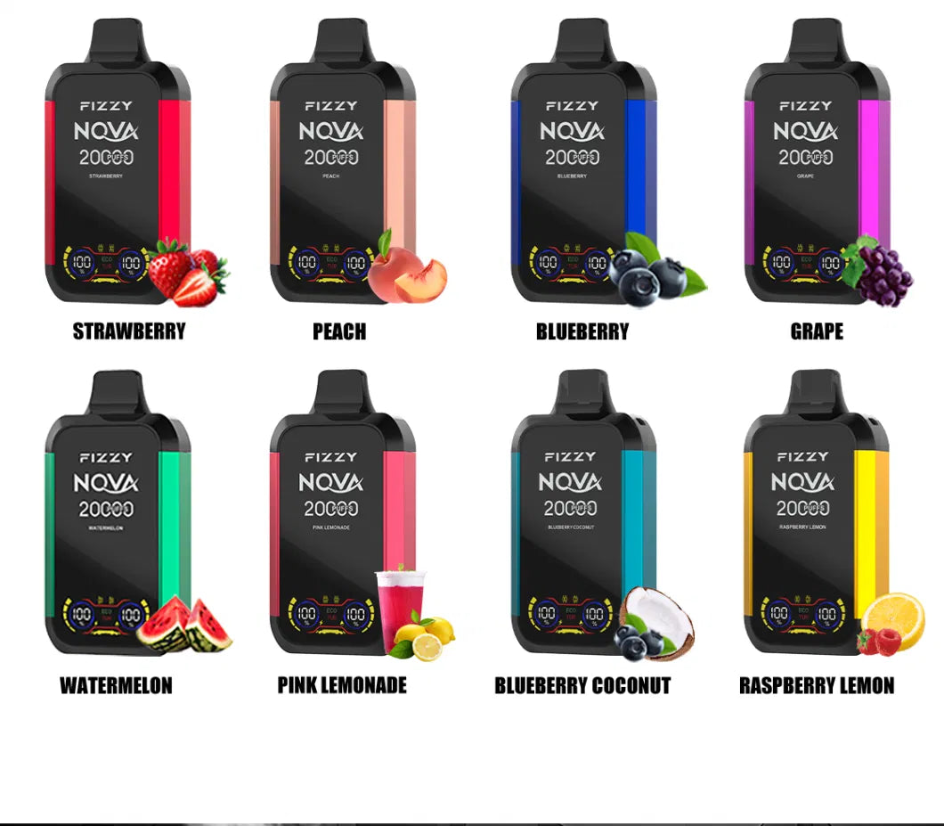 FIZZY Nova 20000 Puffs Dual Mesh Bulk Buy LCD Screen Rechargeable Disposable Vapes Wholesale
