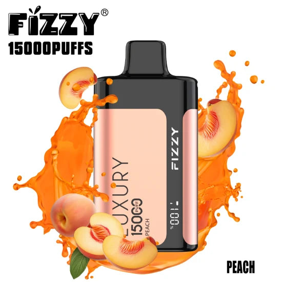 FIZZY Luxury 15000 Puffs 2% 5% Low Nicotine Bulk Buy LCD Screen Rechargeable Disposable Vapes Pen Wholesale