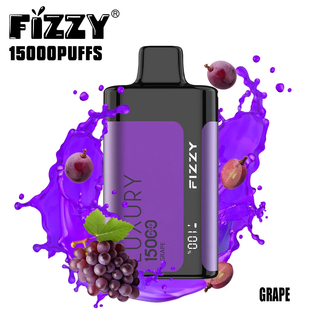 FIZZY Luxury 15000 Puffs 2% 5% Low Nicotine Bulk Buy LCD Screen Rechargeable Disposable Vapes Pen Wholesale