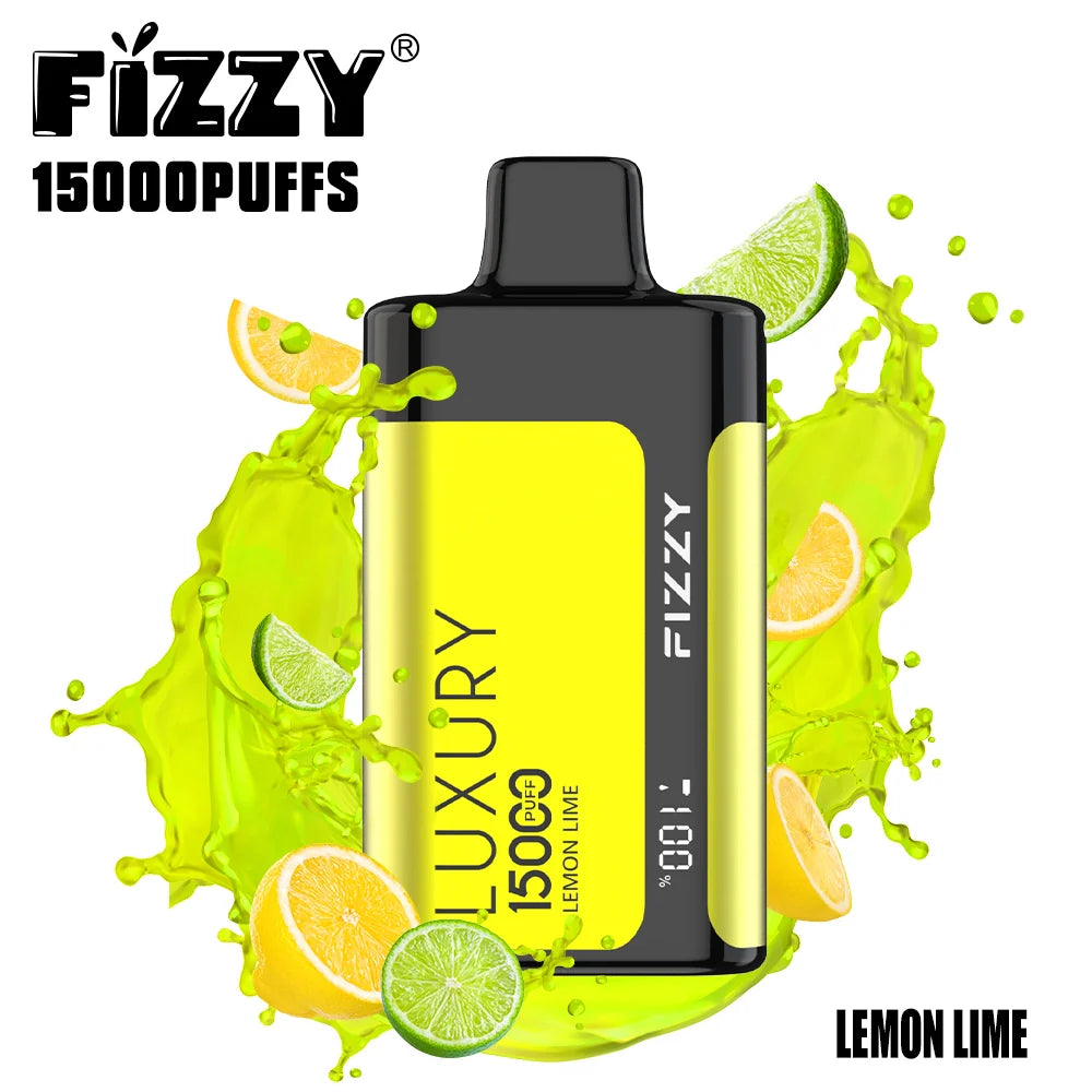 FIZZY Luxury 15000 Puffs 2% 5% Low Nicotine Bulk Buy LCD Screen Rechargeable Disposable Vapes Pen Wholesale