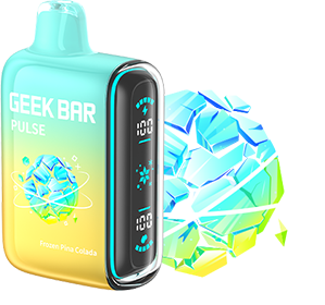 Geek Bar Pulse Disposable Vape 15000 Puffs