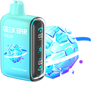 Geek Bar Pulse Disposable Vape 15000 Puffs