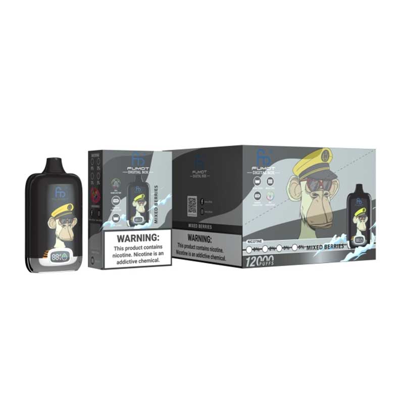 RAndM Digital Box 12000 Züge Einweg-E-Zigarette