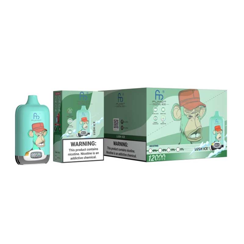 RAndM Digital Box 12000 Züge Einweg-E-Zigarette