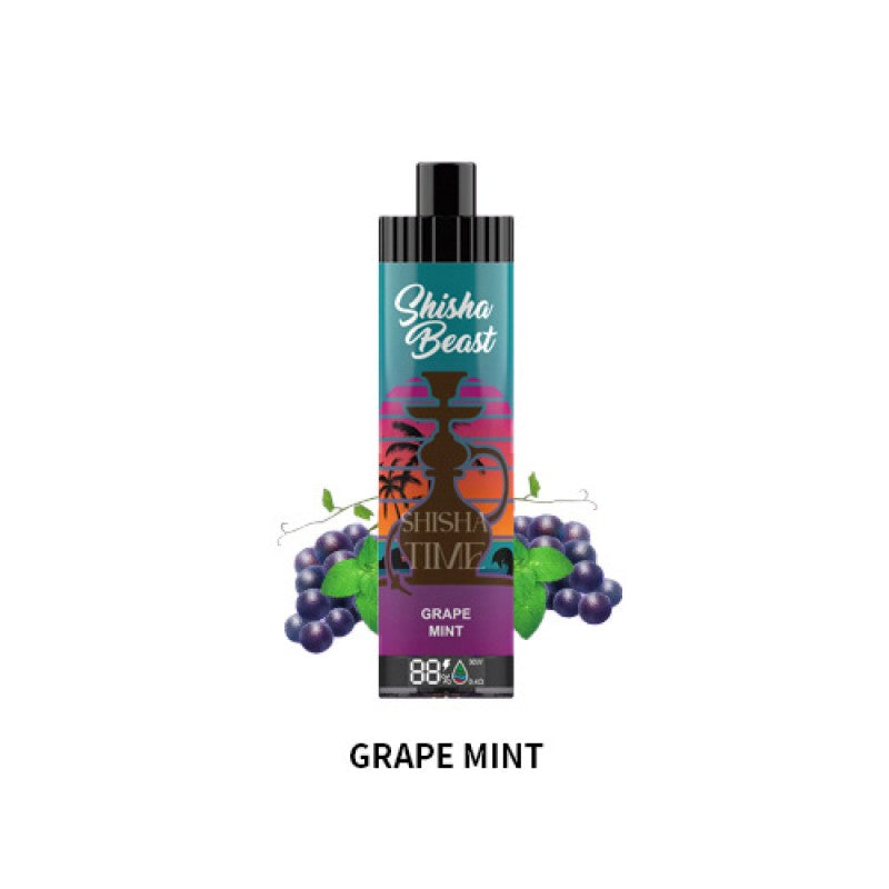 RandM Shisha Beast 20K Einweg-E-Zigarette 26 ml