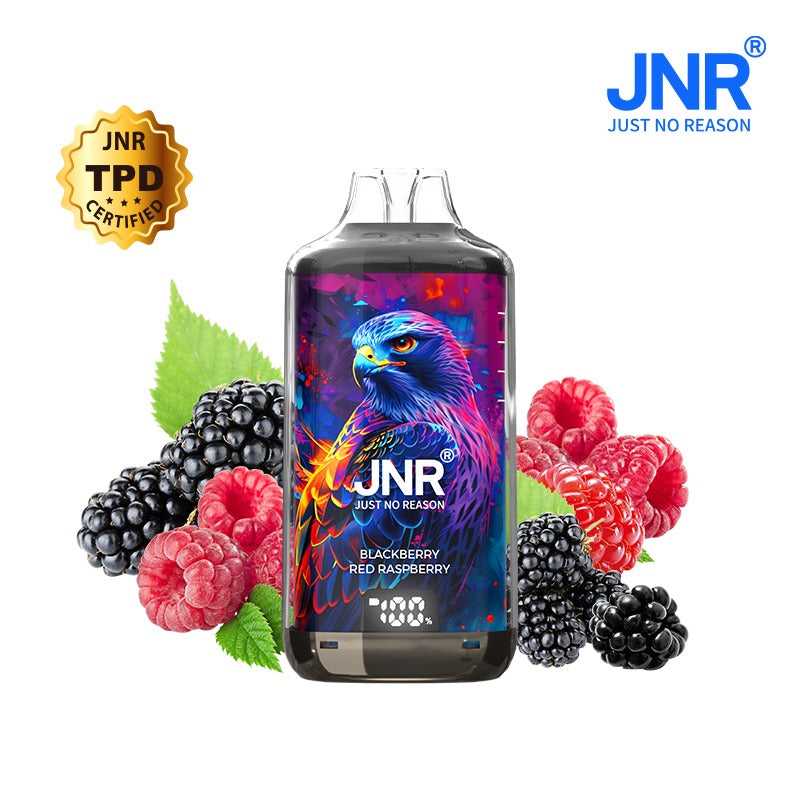 JNR FALCON X PLUS 28000 Züge, 20 mg Nikotin (10er-Packung), 10 Geschmacksrichtungen