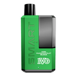 IVG Smart 5500 Einweg-Vape-Kit