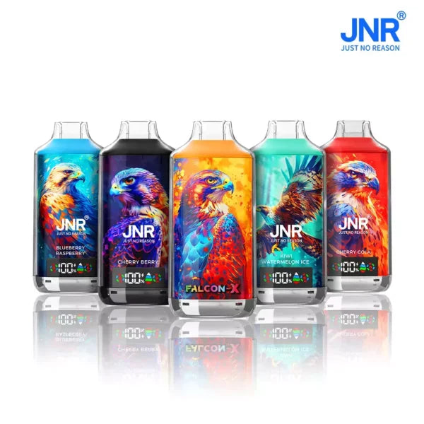 JNR FALCON X 18000 Puffs Dual Mesh LED Display Bulk Buy Rechargeable Disposable Vapes Wholesale