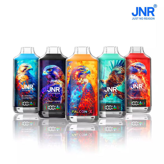 JNR FALCON X 18000 Puffs Dual Mesh LED Display Bulk Buy Rechargeable Disposable Vapes Wholesale