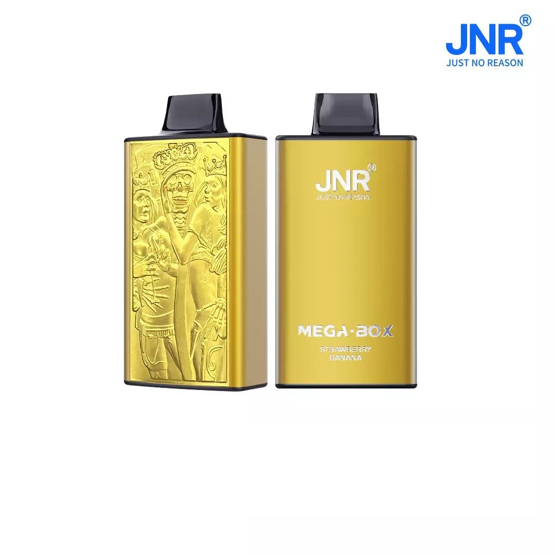 JNR MEGA BOX 25000 Puffs Dual Mesh Bulk Buy Rechargeable Disposable Vapes Wholesale