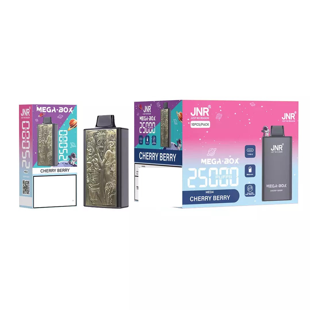JNR MEGA BOX 25000 Puffs Dual Mesh Bulk Buy Rechargeable Disposable Vapes Wholesale