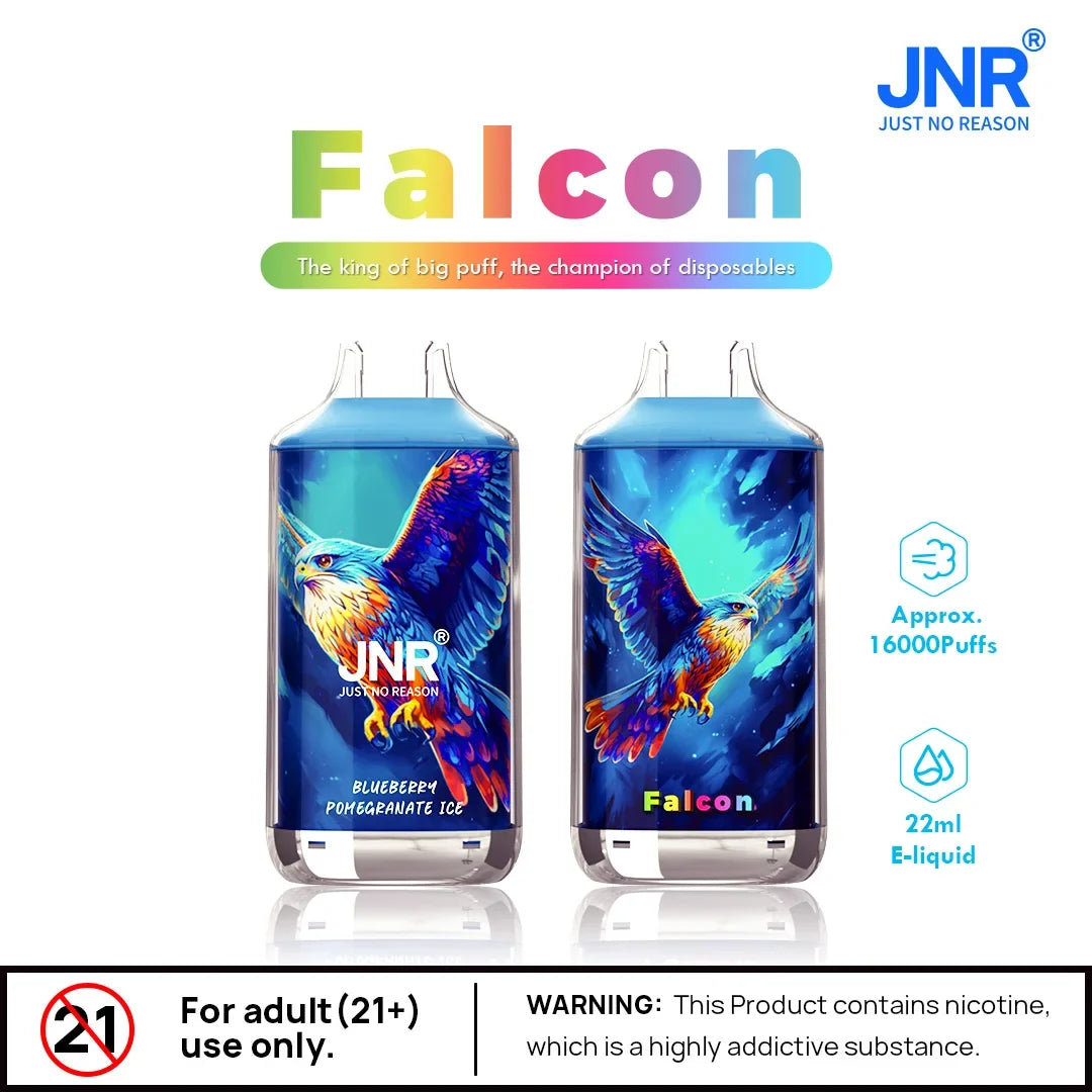 JNR Falcon X 18000 Puff Prefilled Vape Pod Kit - Box of 10