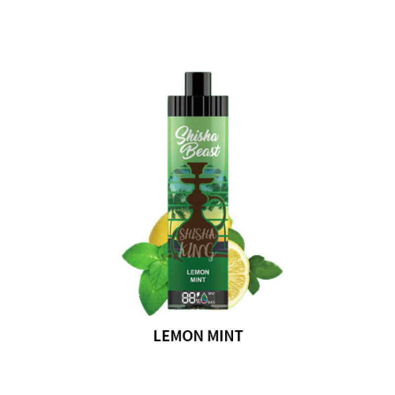 RandM Shisha Beast 20K Einweg-E-Zigarette 26 ml