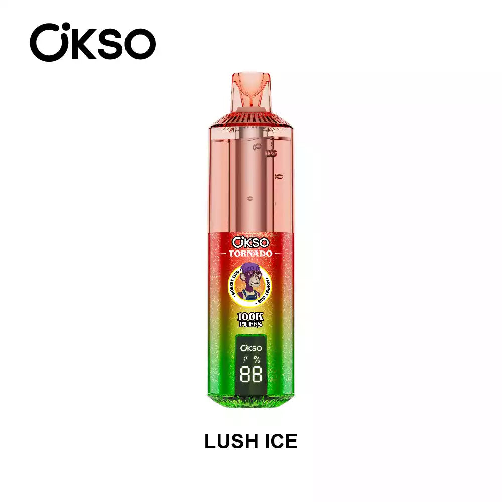 OKSO TORNADO 100000 100K Puffs Disposable Vapes Wholesale Dual Mesh Great Taste Bulk Buy