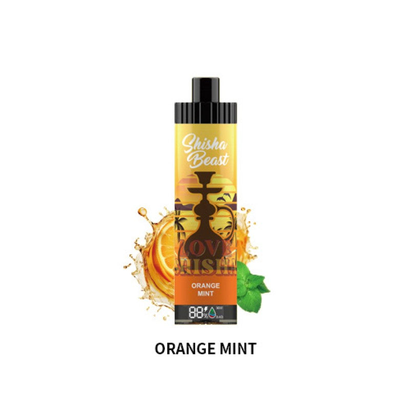 RandM Shisha Beast 20K Einweg-E-Zigarette 26 ml