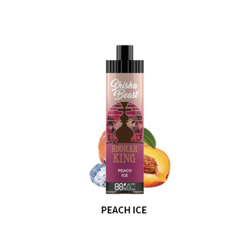 RandM Shisha Beast 20K Einweg-E-Zigarette 26 ml