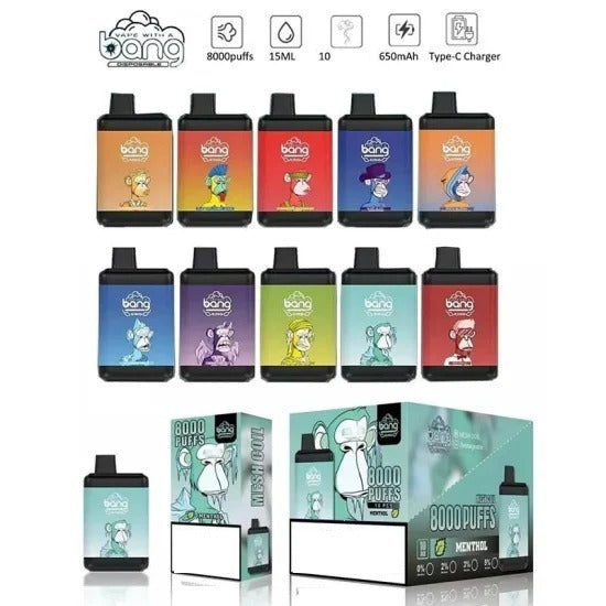 BANG KING 8000 Puffs Disposable Vape Wholesale