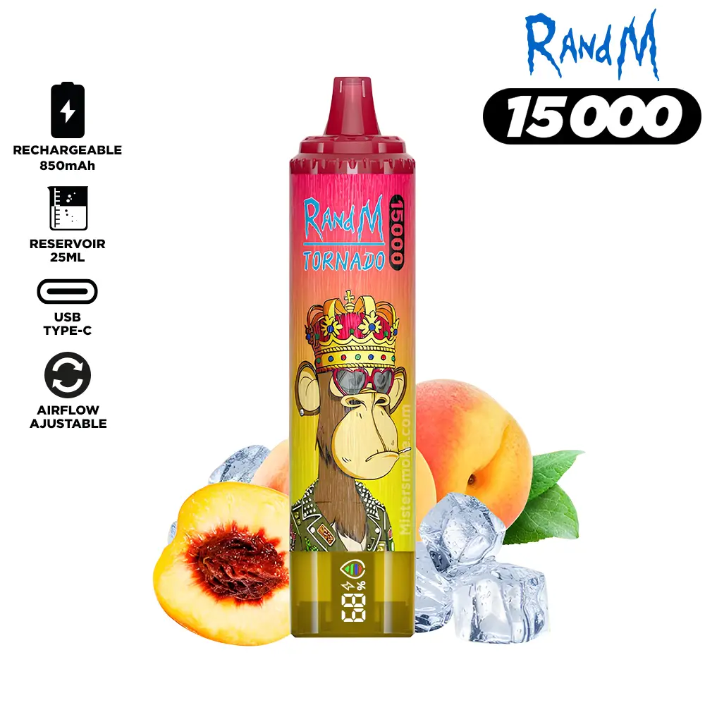 RandM Tornado 15000 Puffs Bulk Buy Rechargeable Disposable Vape Wholesale