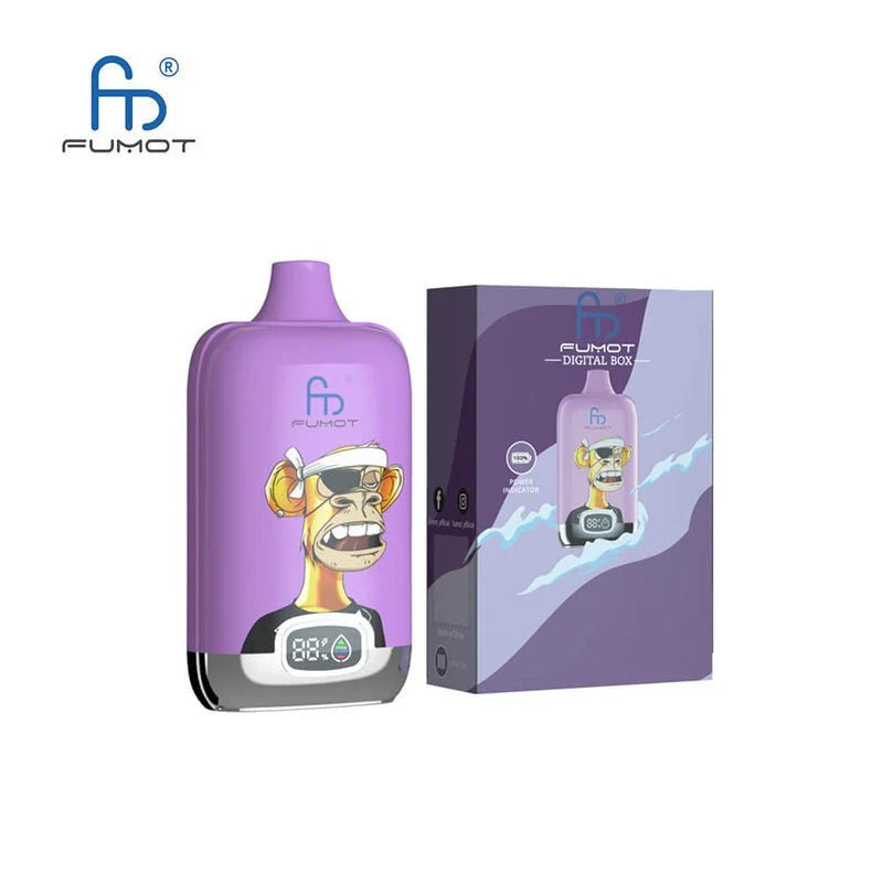 RandM DIGITAL BOX 12000 Puffs LED Display Bulk Buy Rechargeable Disposable Vape Wholesale