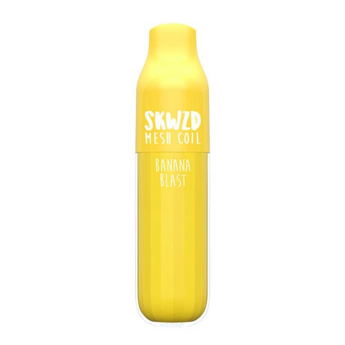 SKWZD Disposable Vape 3000 Puffs