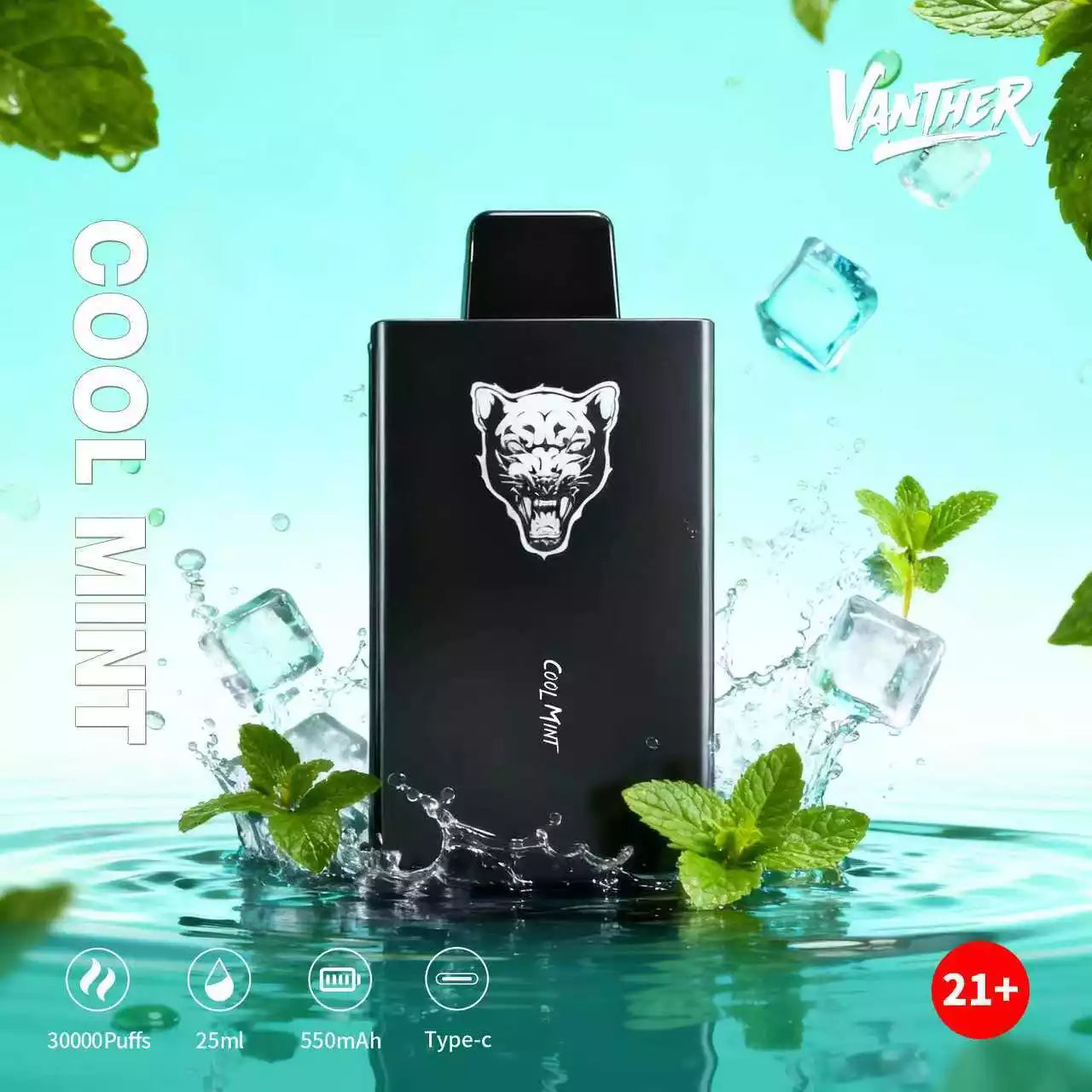 VANTHER 30K DSK077 30000 Puffs Disposable Vapes Wholesale Bulk Buy Dual Mesh Coil