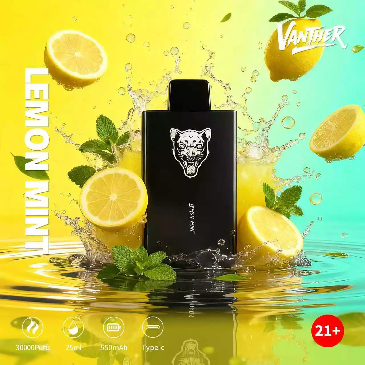 VANTHER 30K DSK077 30000 Puffs Disposable Vapes Wholesale Bulk Buy Dual Mesh Coil