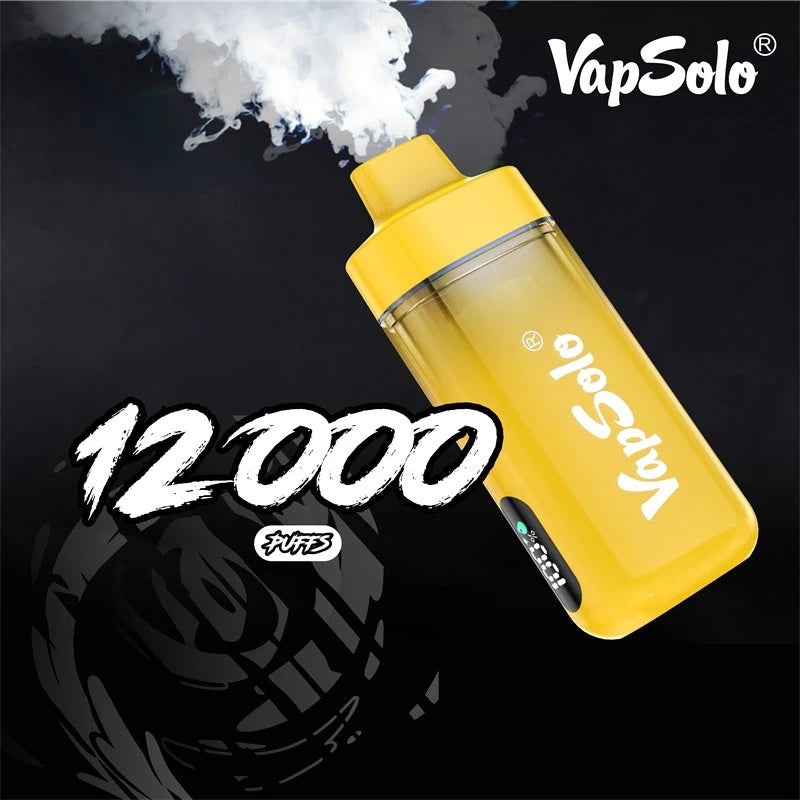 12000 Puffs Disposable Vape - Rechargeable, 10 Flavors, Mesh Coil