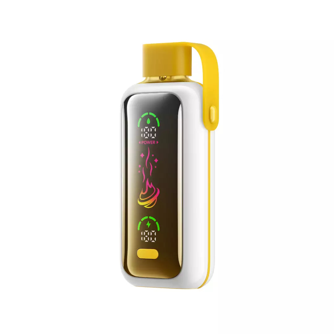 VOZOL STAR 20000 Puffs Dual Modes Led Screen Bulk Buy Rechargeable Disposable Vapes Wholesale