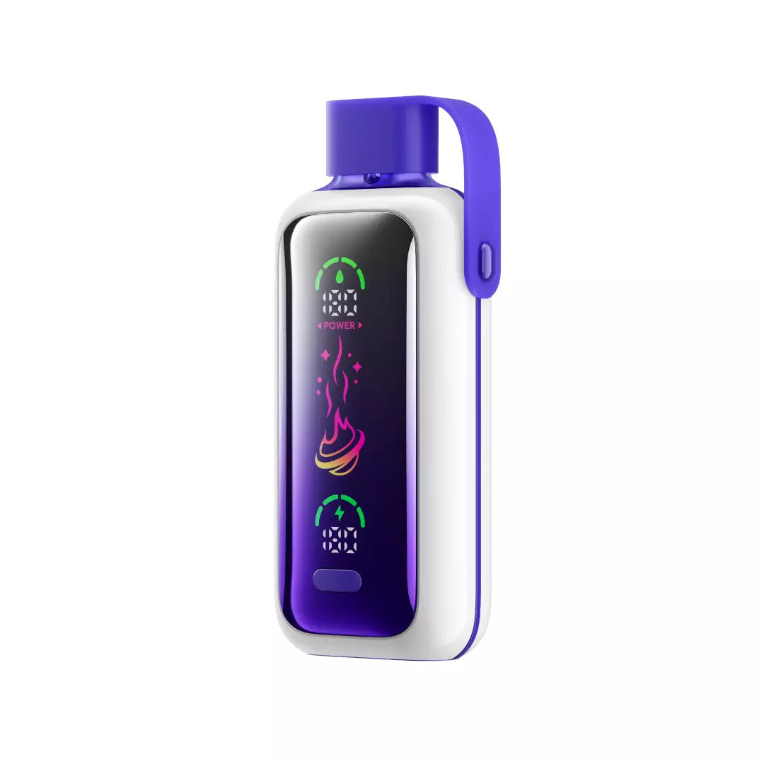 VOZOL STAR 20000 Puffs Dual Modes Led Screen Bulk Buy Rechargeable Disposable Vapes Wholesale