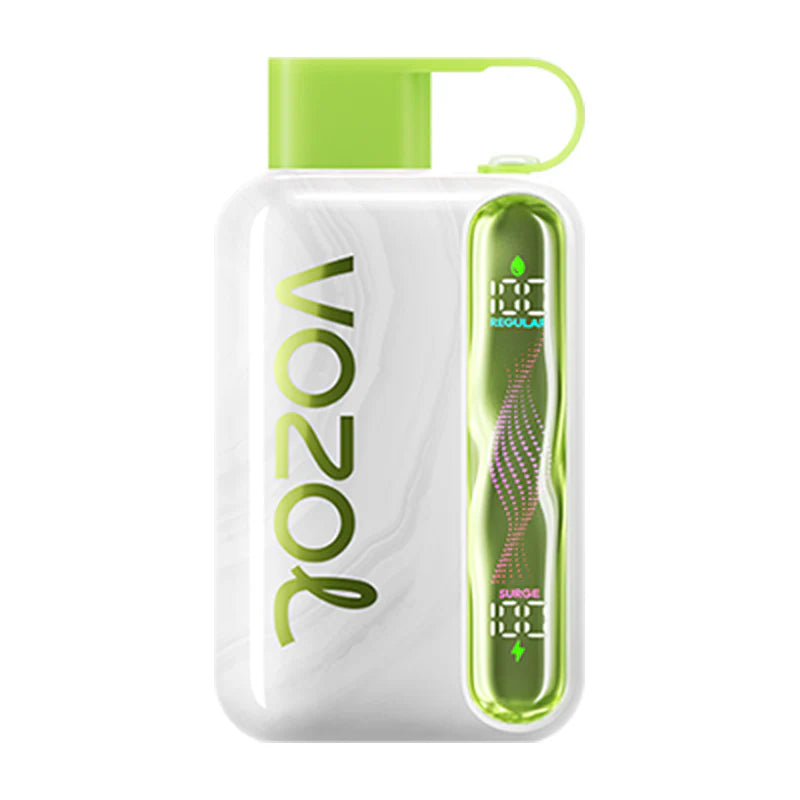 VOZOL STAR 40000 Puffs Dual Mesh LCD Screen Bulk Buy Rechargeable Disposable Vapes Wholesale