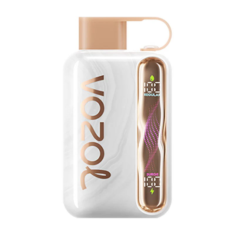 VOZOL STAR 40000 Puffs Dual Mesh LCD Screen Bulk Buy Rechargeable Disposable Vapes Wholesale