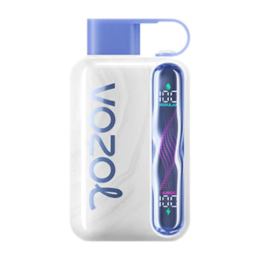 VOZOL STAR 40000 Puffs Dual Mesh LCD Screen Bulk Buy Rechargeable Disposable Vapes Wholesale